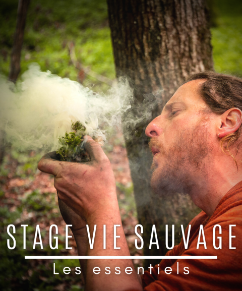 Stage [Sur]Vie sauvage...