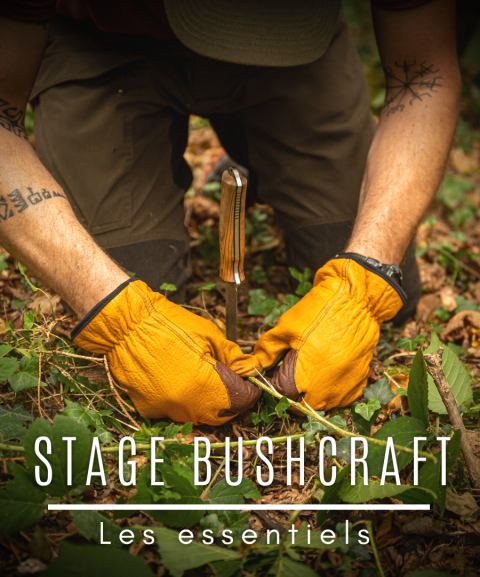 Stage "Essentiel" Bushcraft...
