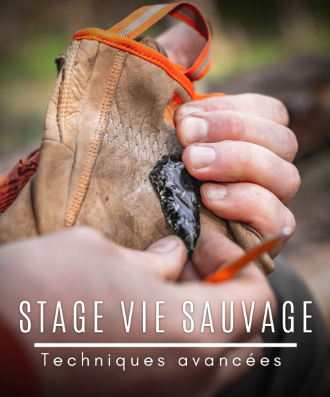 Stage Vie sauvage "Avancé"...