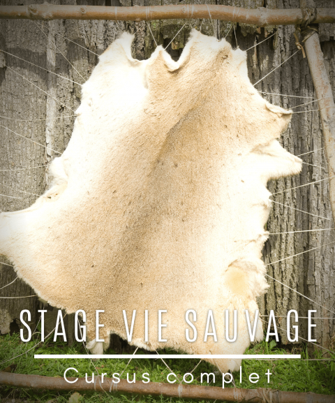 copy of Stage Vie sauvage...