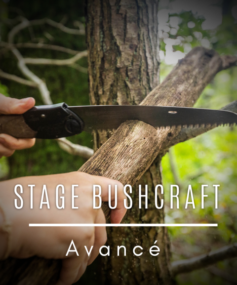 Stage Semaine Bushcraft - 7...