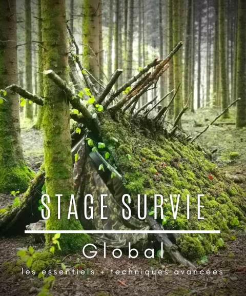 Stage de survie "Global"...