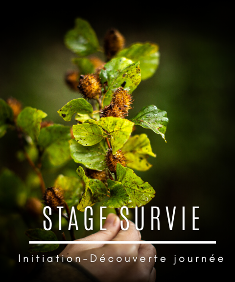 copy of Stage de survie...