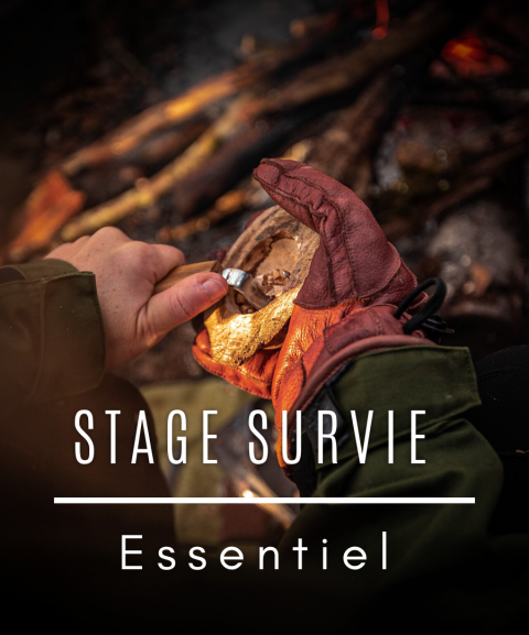 copy of Stage de survie...