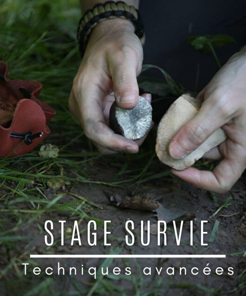 Stage de survie "Avancé"...